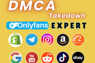 report copyright infringing content of shopify,ebay,etsay,amazon under dmca