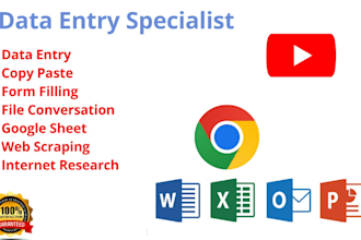 do data entry  specialist