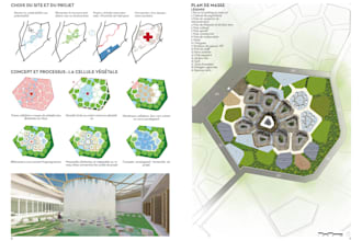 be your expert architect for luxury wellness resort  projects