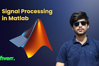 do matlab programming and signal processing