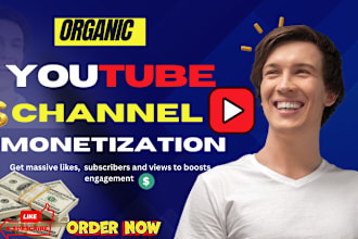 complete youtube channel promotion for monetization requirements
