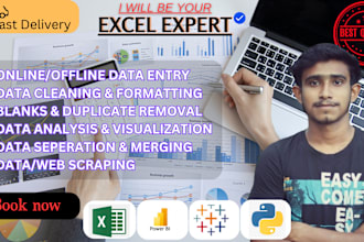 clean excel data, formatting, analysis, and visualization