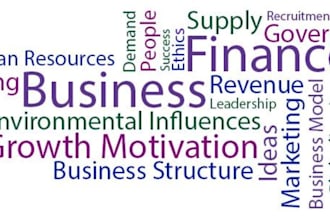 do management, marketing, HR and proposal tasks
