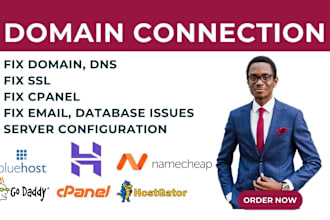 fix domain, cpanel, mail issue of godaddy, hostinger, bluehost, namecheap, ionos