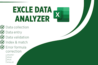 excle data entry and custom excel solutions