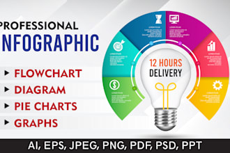 professional infographic, flowchart and diagram