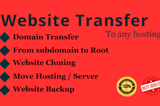 transfer website, website integration, wordpress migration, domain transfer, dns