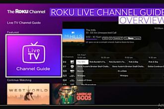 develop a professional roku tv channel, live tv , and roku app