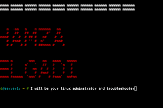 be your linux and web server expert