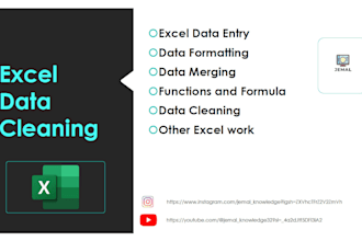 do ms office excel data cleaning I am an expert in microsoft excel