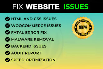 fix your website issues, layout issues and bugs