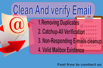 provide clean and email verification for you in 24 hours