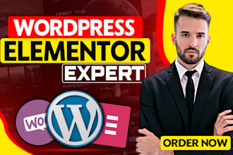 be your elementor pro expert to revamp, redesign a wordpress website