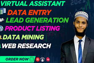 your virtual assistant for data entry, data mining, copy paste, web research