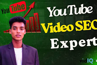do best you tube video SEO expert with vidiq and tube buddy