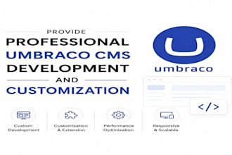 provide professional umbraco cms development and customization