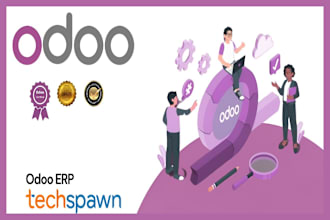 buid odoo website customization odoo accounting erp software migrate odoo module