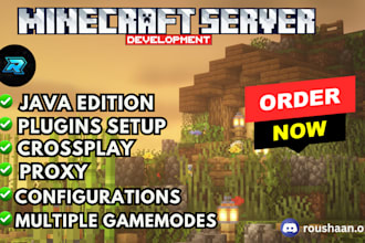 develop a minecraft server for you