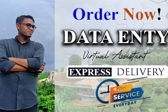 be your virtual assistant for data entry, copy paste, excel, and web research