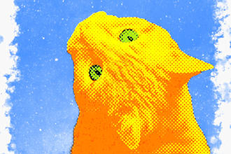 transform your pet into a piece of pop art