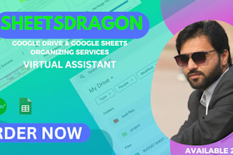 be your google sheets and drive professional organizer