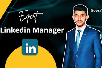 be your linkedin manager and content creator