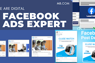 run facebook and instagram ads campaign