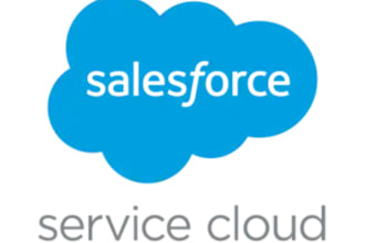 implement and customize your salesforce CRM