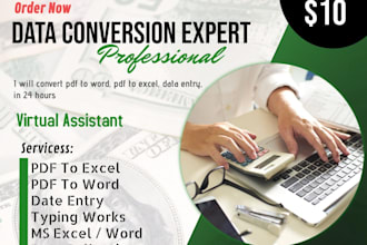 convert pdf to word, pdf to excel or data entry in 24 hours