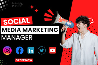 setup and manage your paid social media ads