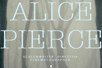 write you a horror thriller or dark comedy script