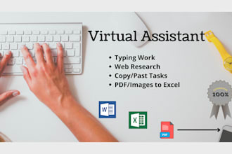 be your virtual assistant for data entry, copy paste, excel, and web research