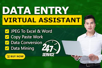 be your virtual assistant for data entry, data mining, copy paste, web research