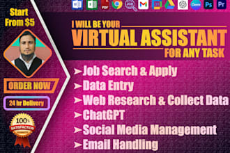 virtual assistant for data entry, job apply, web research, social media, chatgpt