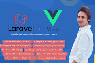 build a laravel vue js web application or admin dashboard