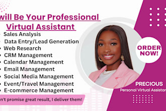 be your professional virtual assistant executive VA dedicated VA and personal VA