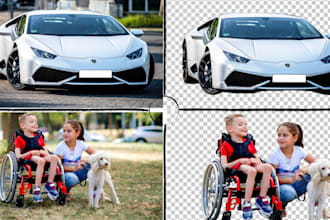 remove backgrounds, clipping paths, and provide white or transparent