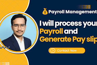 provide payroll services and pay slip generation