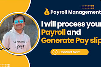 provide payroll services and pay slip generation