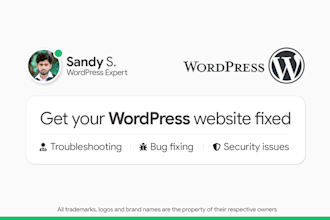 help to troubleshoot and fix any wordpress website issue