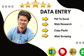 do the fastest excel data entry, PDF to excel