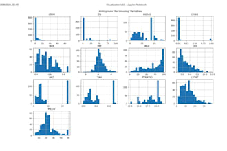 do data cleaning, data science projects in jupyter notebook