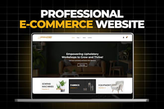build shopify store or dropshipping ecommerce store