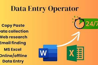 do excel data entry copy paste tasks web research and scraping