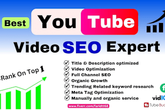 do best youtube video SEO expert for organic ranking and channel growth manager