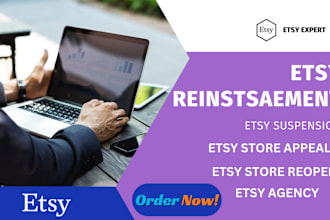 reinstate and write compelling appeal to verified etsy suspension