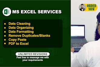 clean, format, filtter data and many more ms excel projects