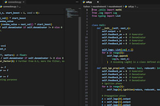 custom python programming project