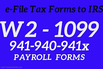 efile w2, 1099, 941, 940 US payroll tax form