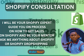 do shopify consultation shopify mentor design and redesign shopify bugs fixing